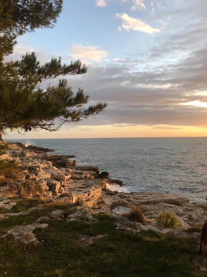 Apartment Pula Mon Amour Croatia